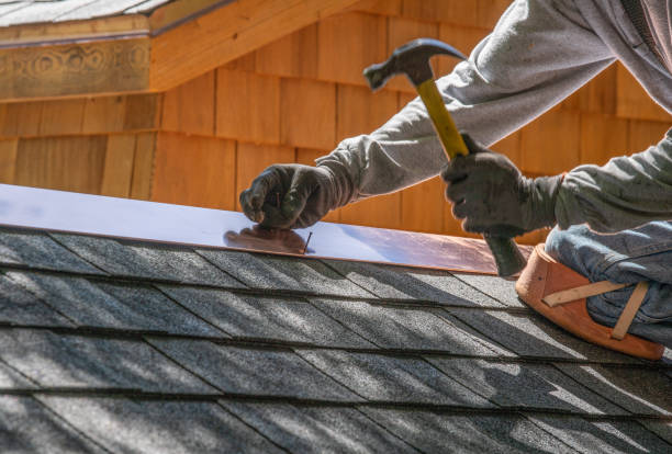 Best Asphalt Shingle Roofing  in Carson City, NV