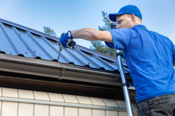Best Gutter Installation and Repair  in Carson City, NV