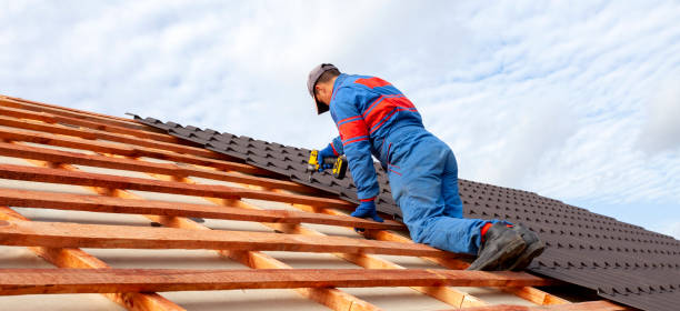 Roof Coating Services in Carson City, NV