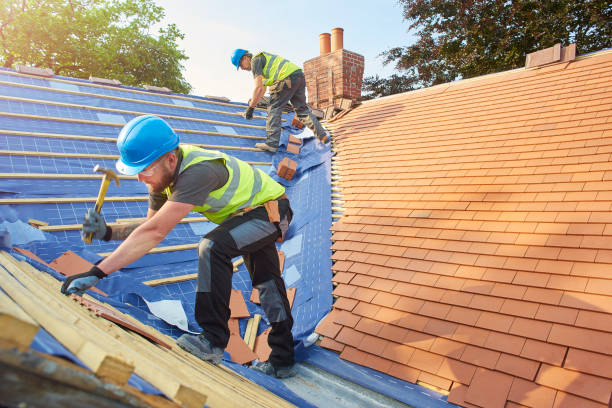 Sheet Metal Roofing in Carson City, NV